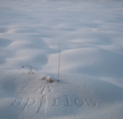 Schneedecke - Copyright Katja Clos